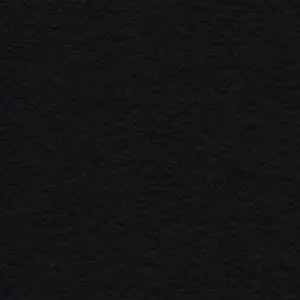 Black Raptor paint color swatch