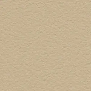 Sand Brown paint color swatch